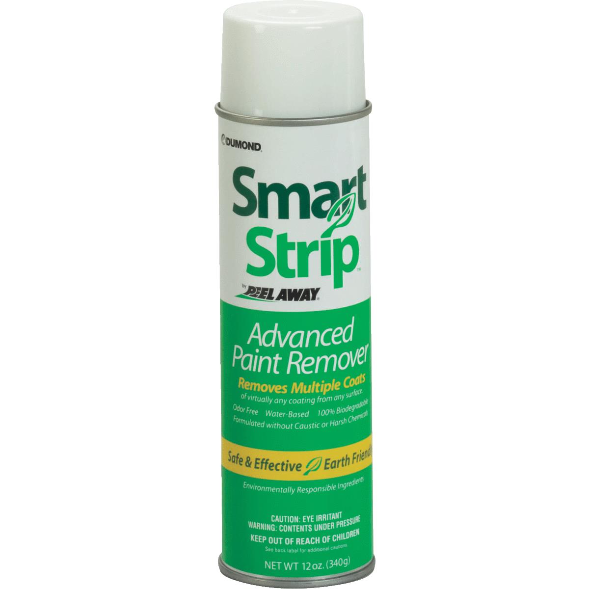 SPRAY PAINT STRIPPER