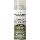 EasyCare Woodsman Satin Clear Spray Polyurethane, 12 Oz. Image 1
