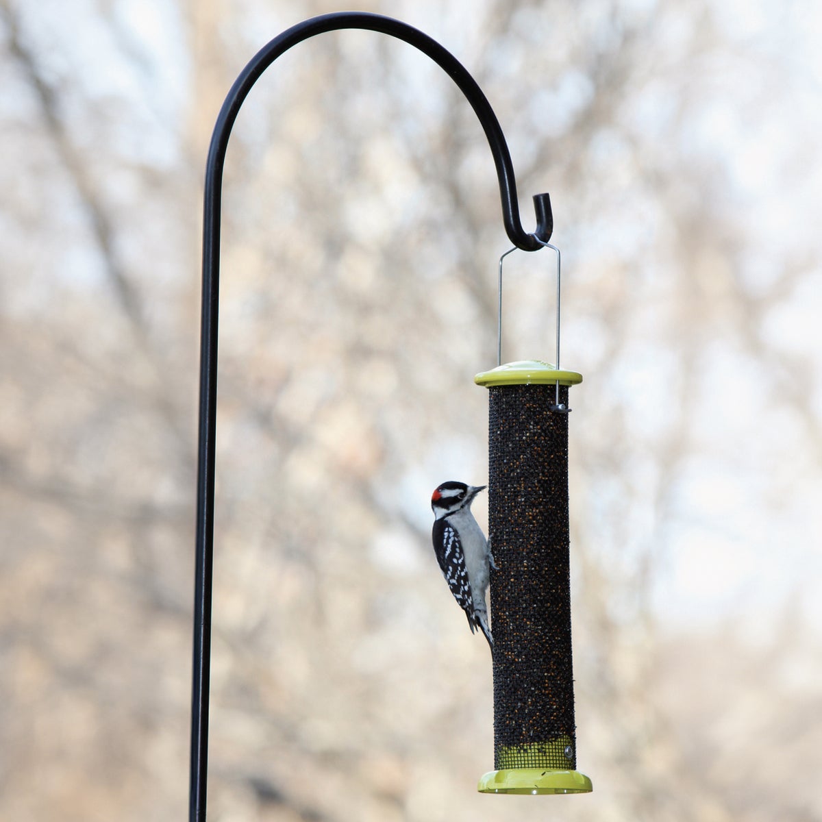 Panacea Aluminum Tube Bird Feeder Image 2