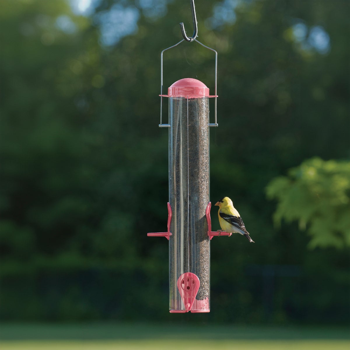 Panacea Plastic Tube Bird Feeder Image 2