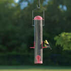 Panacea Plastic Tube Bird Feeder Image 2