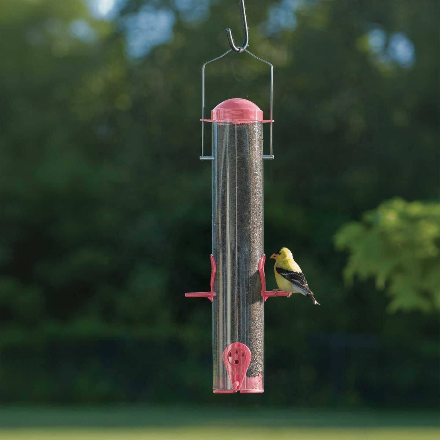 Panacea Plastic Tube Bird Feeder Image 2