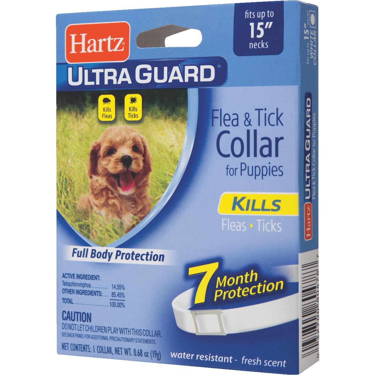 Flea & Tick Control
