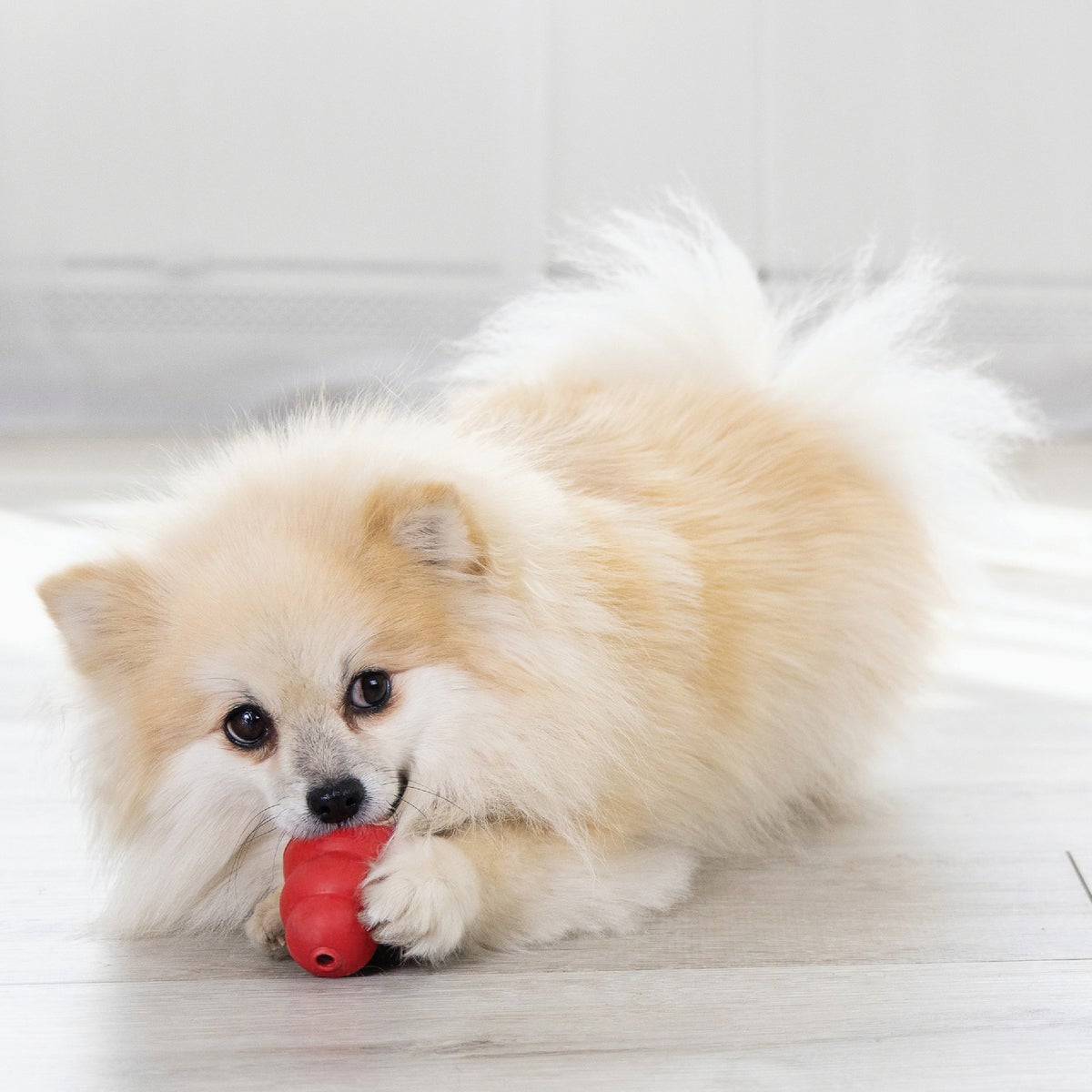 Kong Classic Dog Chew Toy, Up to 20 Lb. Image 3