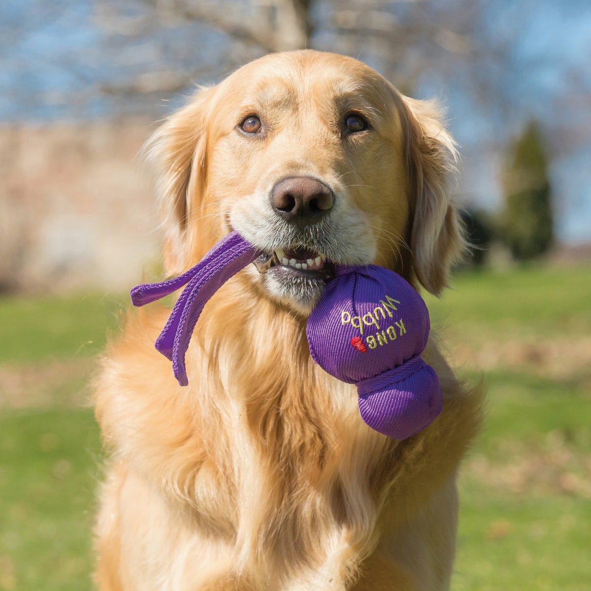 Kong Wubba Tug Large Squeaky Dog Toy Image 3