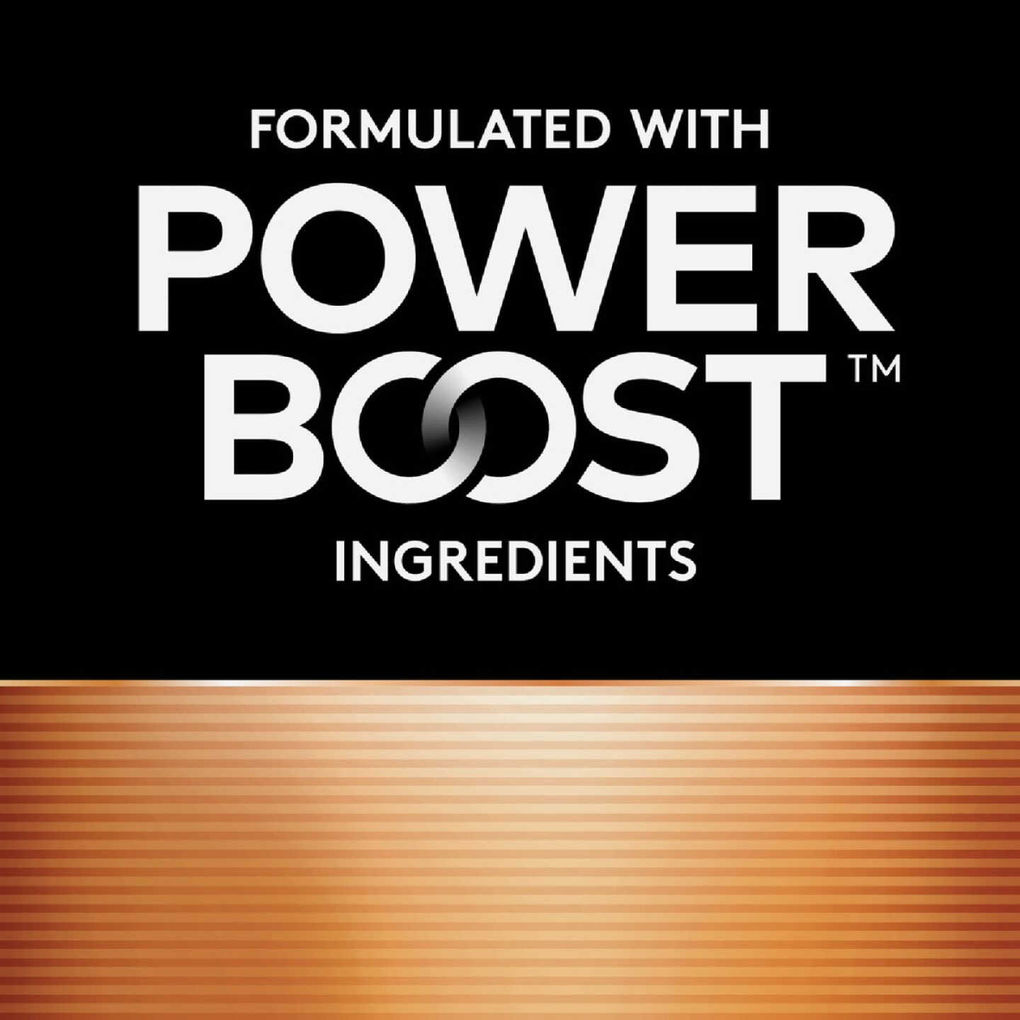 Duracell CopperTop AA Alkaline Battery (8-Pack) Image 2