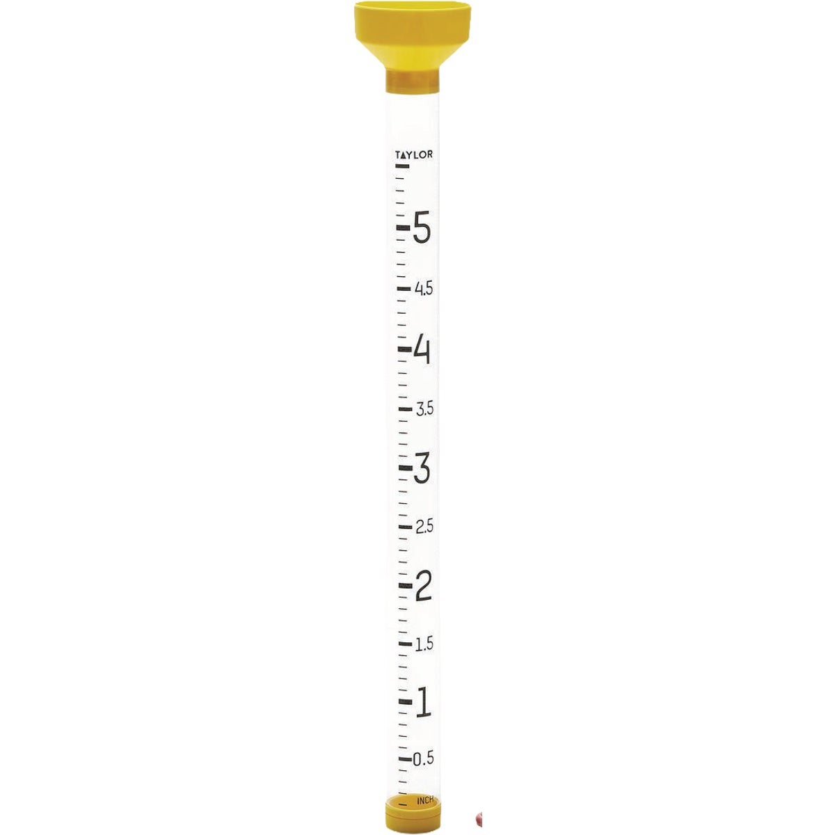 Taylor 5 In. Capacity Jumbo Rain Gauge