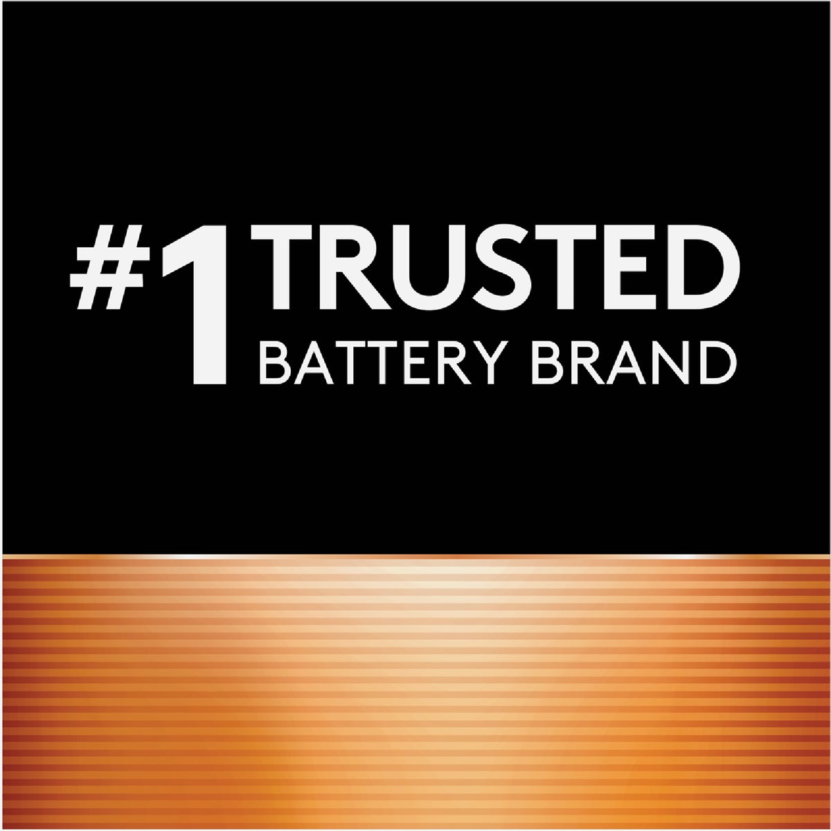 Duracell CopperTop C Alkaline Battery (2-Pack) Image 3