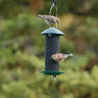 Panacea Minimag Thistle Bird Feeder Image 2