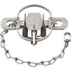 Duke Traps 5.5 In. Jaw Spread Steel Coil Spring Bobcat, Coyote, Fox, Lynx, & Otter Trap Image 1
