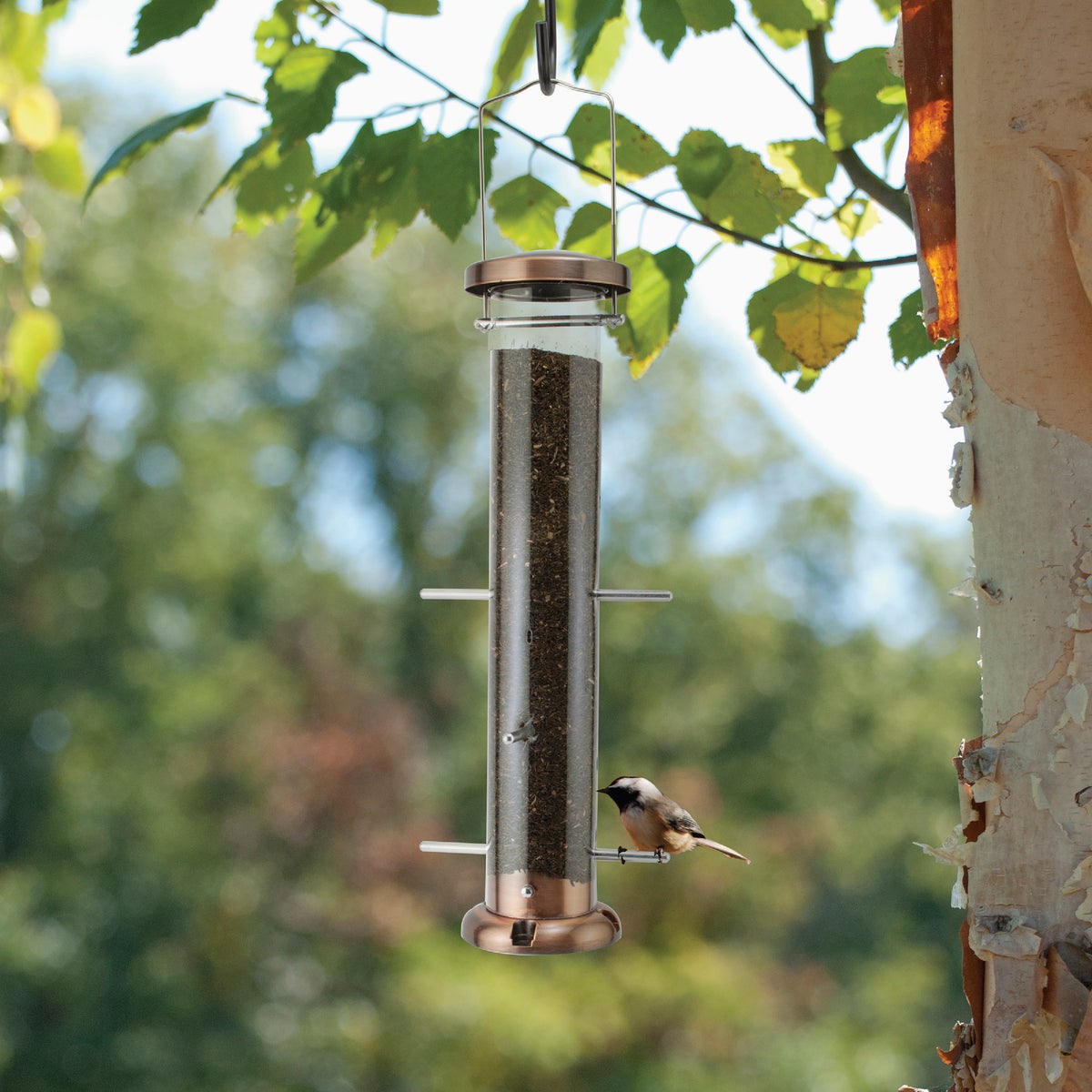 Panacea Nyjer Thistle Tube Finch Feeder Image 2