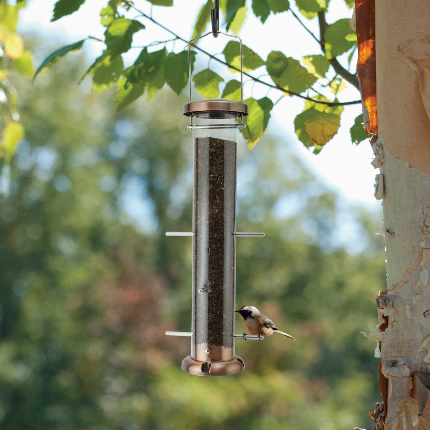 Panacea Nyjer Thistle Tube Finch Feeder Image 2