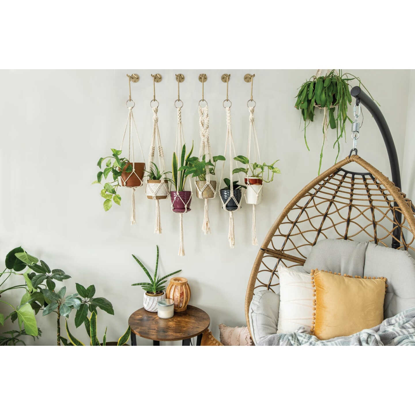 National Hardware 4 In. Brushed Gold Steel Modern Small S-Hook Plant Hanger Image 2