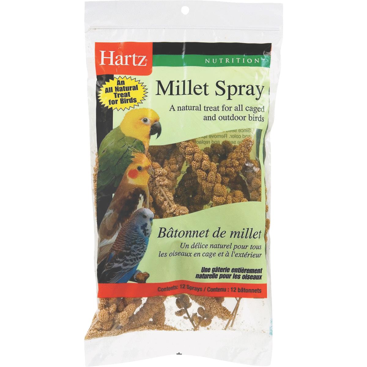 Pet Bird Food