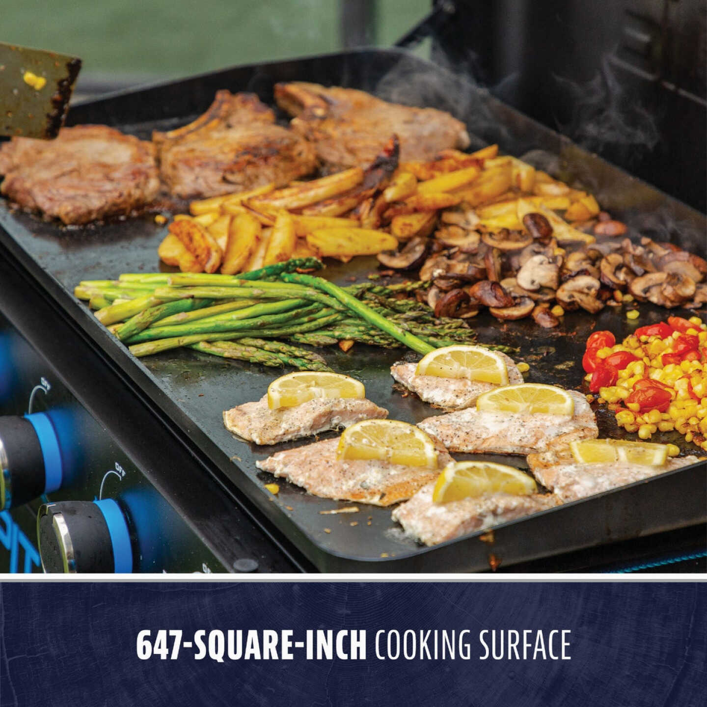 Pit Boss 4-Burner Black & Stainless Steel 46,000 BTU 647 Sq. In. Outdoor LP Gas Griddle Image 4