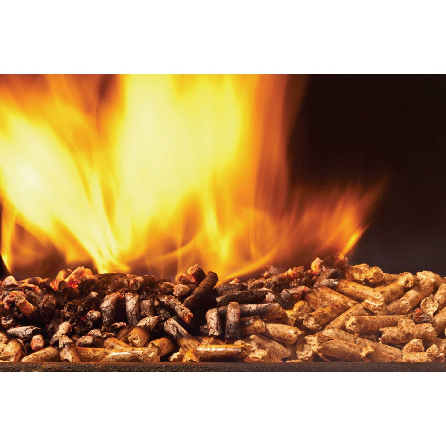 Jealous Devil JAX 20 Lb. Wood Pellet Blend Image 2