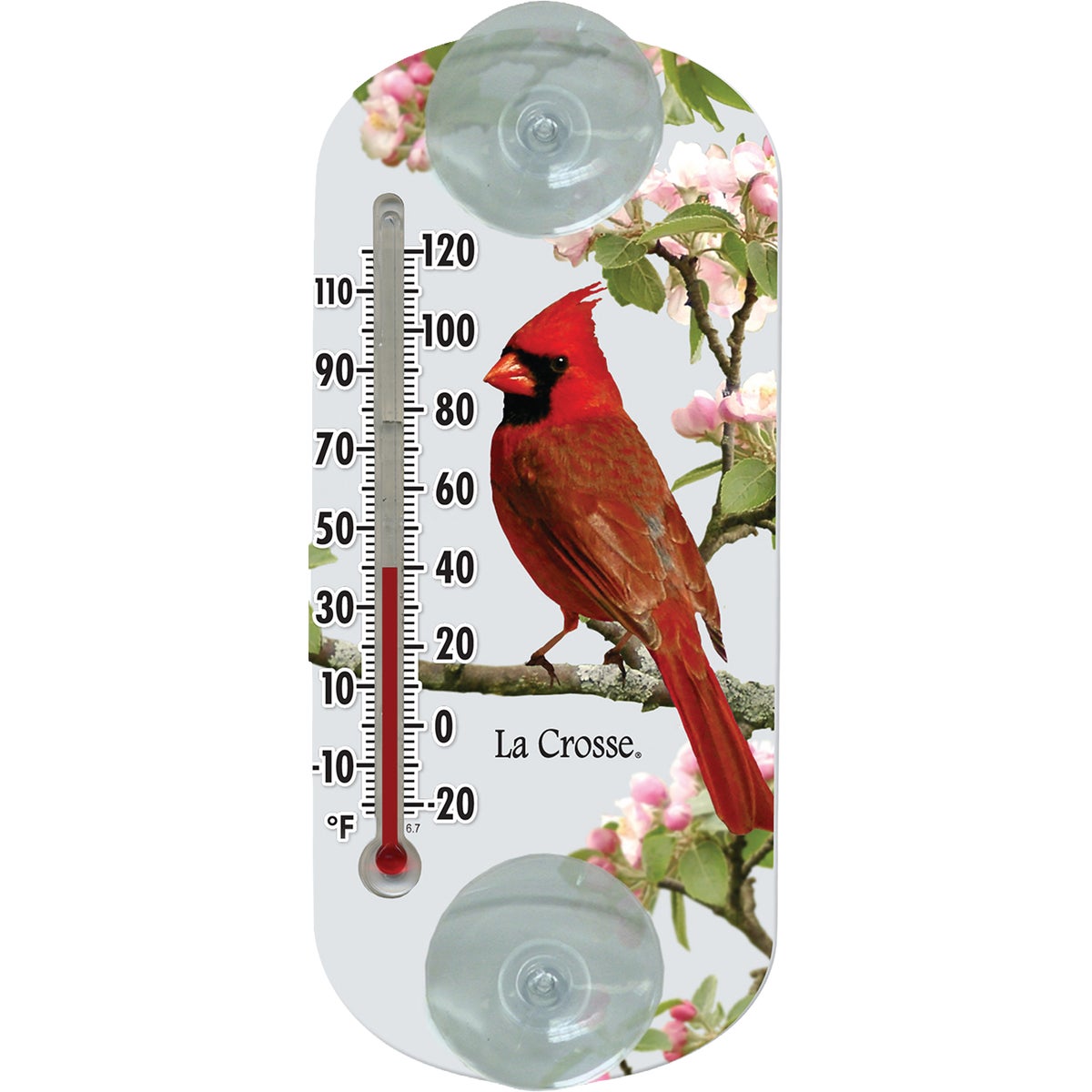 La Crosse Technology 8 In. Cardinal Outdoor Thermometer