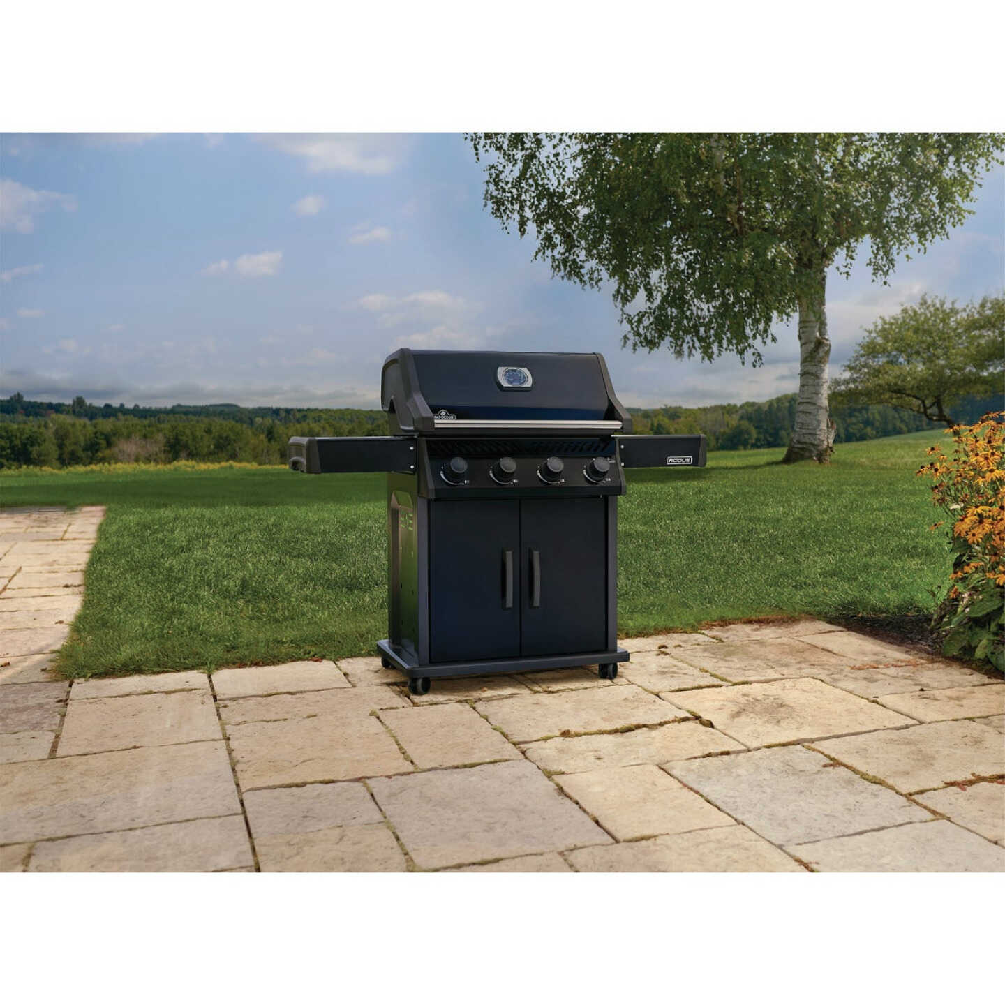 Napoleon Rogue 525 4-Burner Natural Gas with Stainless Steel Grids Grill, Black Image 2