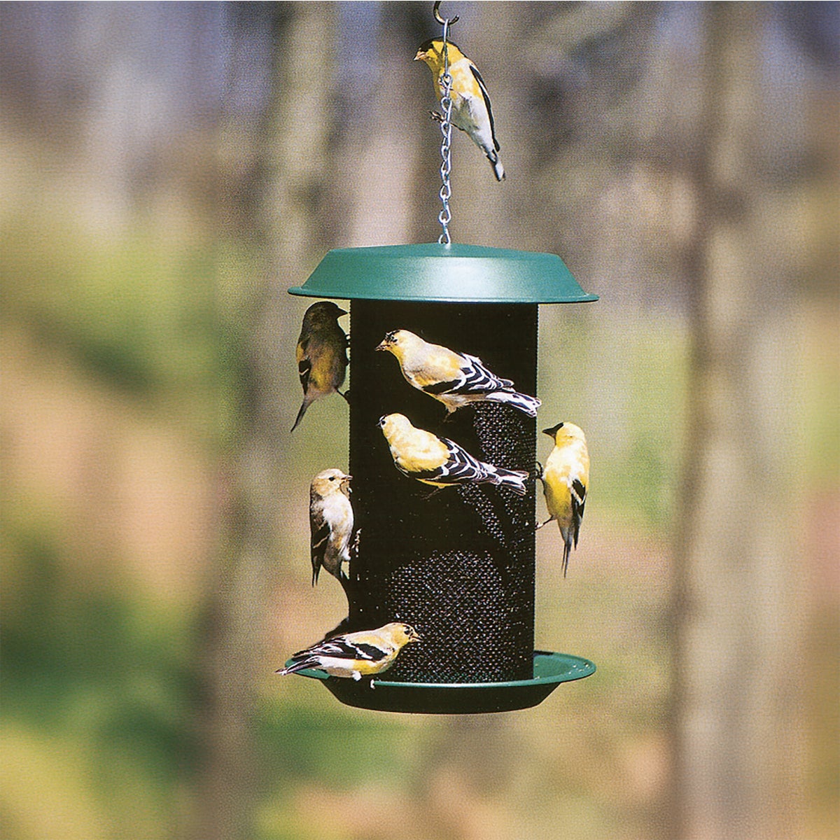 Panacea Magnum Plastic Nyjer Seed Bird Feeder Image 2