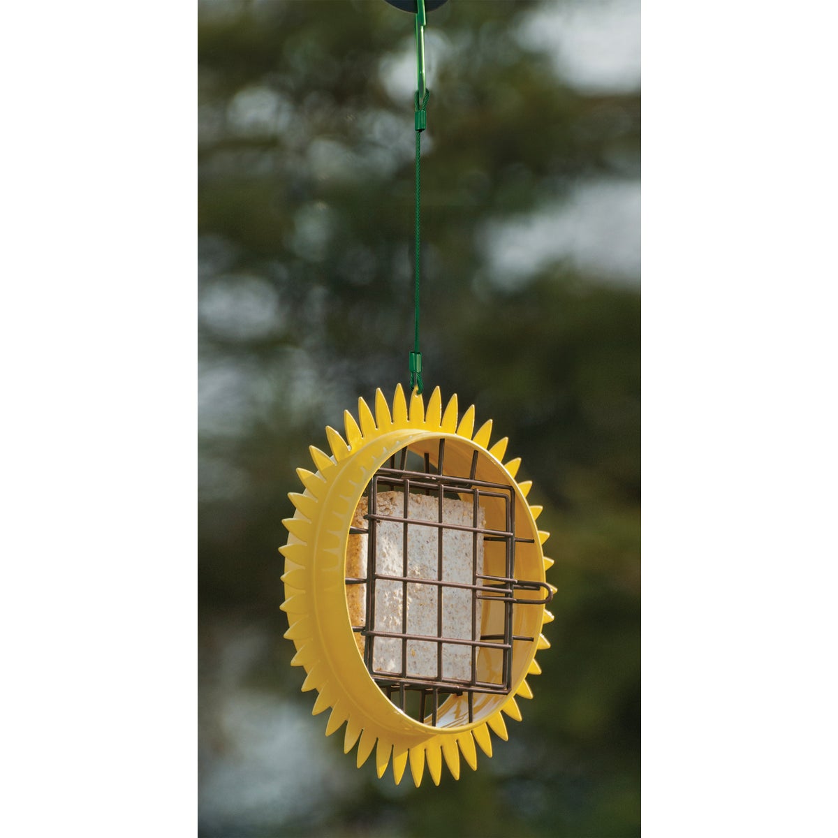 Panacea Sunflower Suet Feeder Image 2