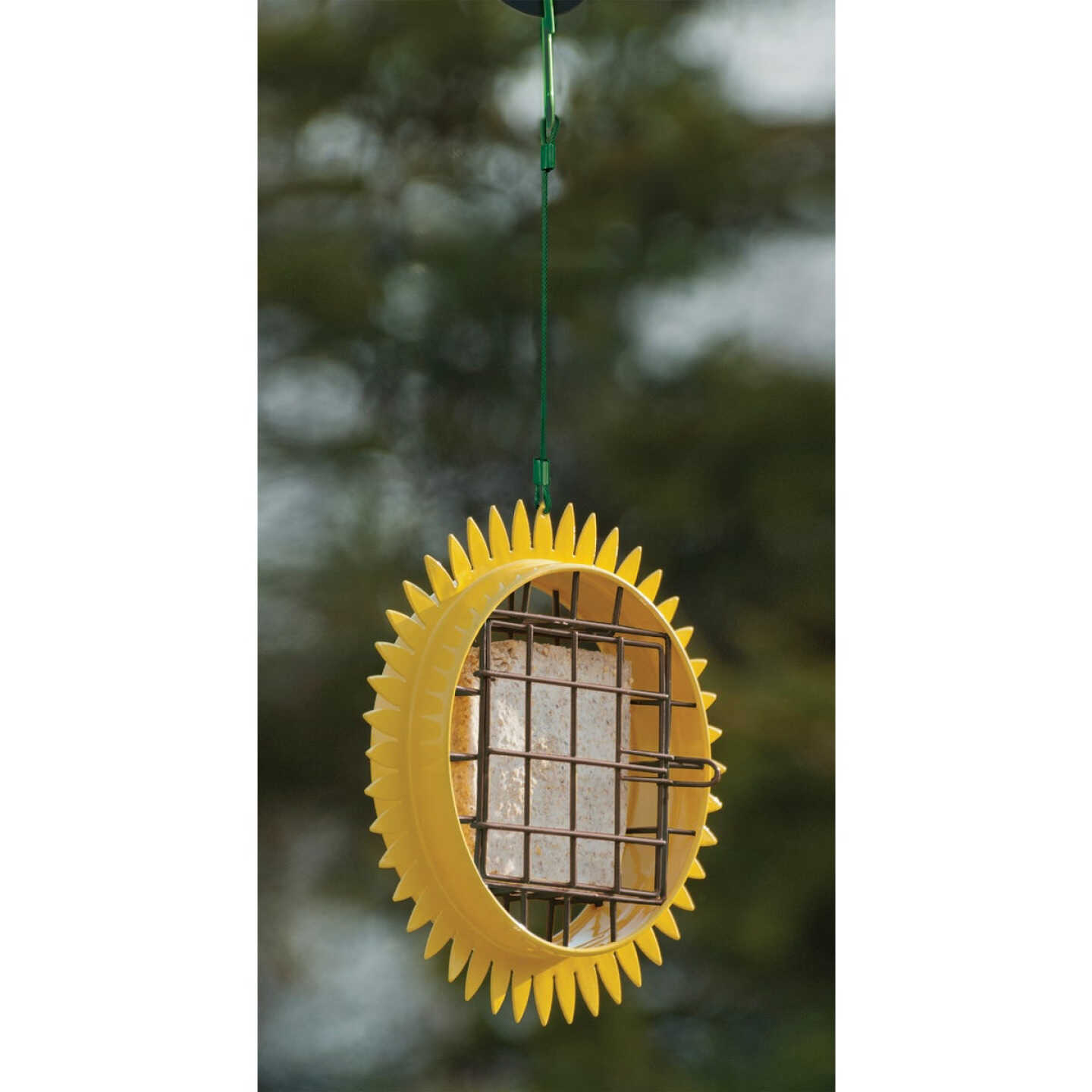 Panacea Sunflower Suet Feeder Image 2