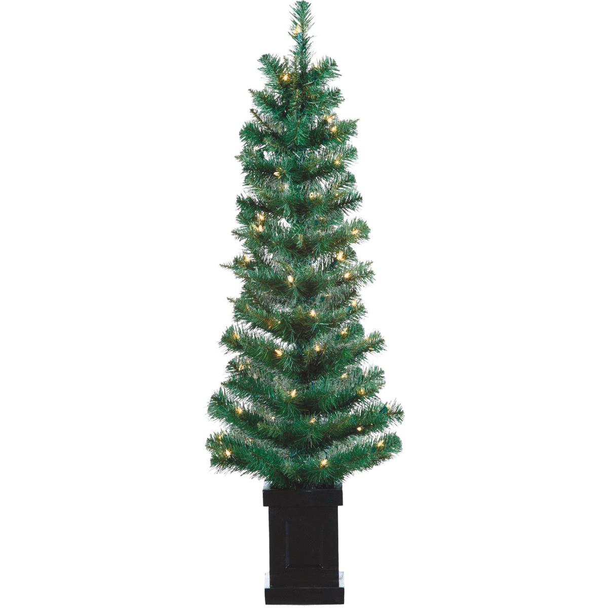 2 4' P/L POTTED TREE