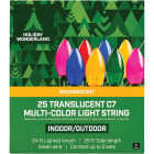 Home Impressions Transparent Multi 25-Bulb C7 Incandescent Light Set Image 2