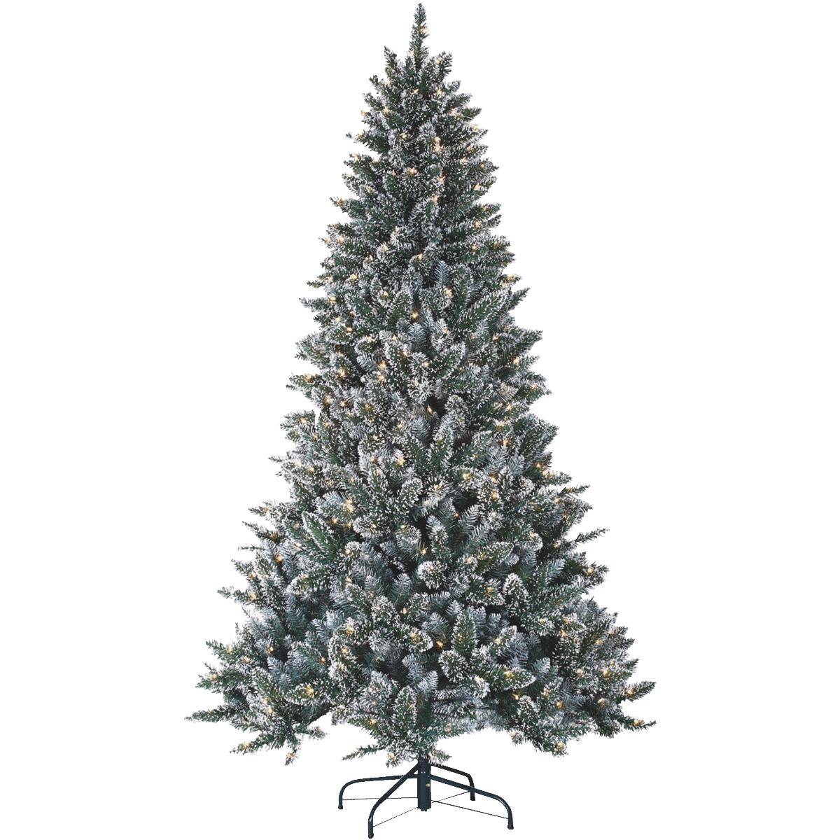 7.5' CLR FROST PINE TREE