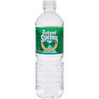 Poland Spring 0.5 Liter Bottled Spring Water Deposit (24-Pack) Image 1